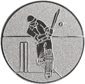 Cricket-Abschlag