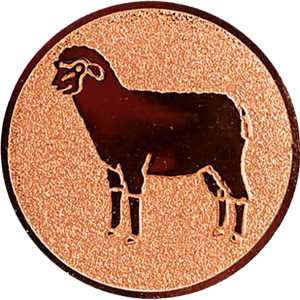 Abzweigung Schaap