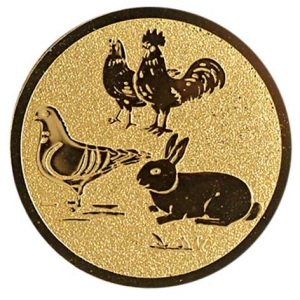 Abzweigung „Huhn, Hahn, Taube und Kaninchen“