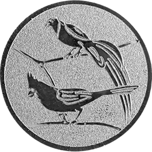 Abzweigung „Tropische Vögel“
