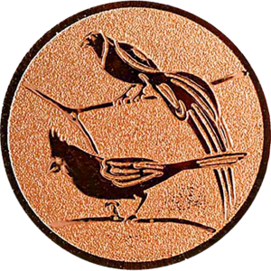 Abzweigung „Tropische Vögel“