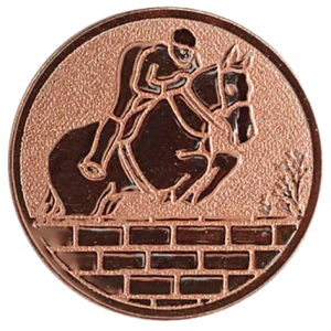 Springreiten mit dem Pferd