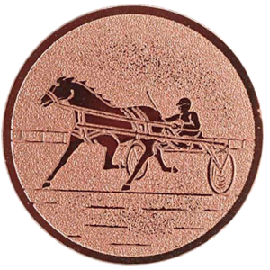Abzweigung „Reitsport“