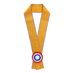 Schärpe mit orangefarbener Rosette RWB
